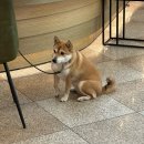 칠콘다녀온정신없었던1월3째주일상
