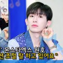 월드비디오 이미지