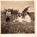 장성읍사무소 이미지