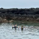 대포동-6 | 제주 숨은 바다 스노쿨링 도리빨 해변, 반려견과 함께 다녀온 후기 🐶🌊