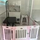 모모의여름 이미지