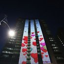 금호장식 이미지