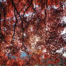 소진담 - 서산시 삼길포1로 57 | 소진담