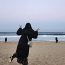 청춘PC | 청년혜택 | 20% 저렴하게 다녀온 강릉 기차여행, KTX 힘내라청춘 할인 및 신청 방법