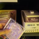 당근노래연습장 이미지