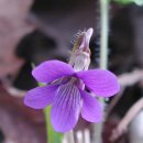 금천초등학교 이미지