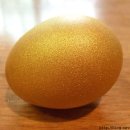 성원펜션 이미지