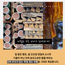 무림체육관 | 밥상을 즐겁게 해주는 경방원 동보 3회죽염