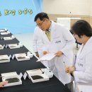 보성이네 이미지