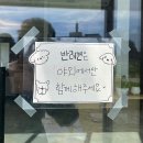 나주 베이커리 카페 To,ven 투벤 : 나주 To,ven 투벤 후기 / 나주 애견카페 / 나주 아기랑 가기 좋은...