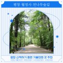 바이크 탐방로4 | 강원도 평창 여행 오대산 가볼만한곳 월정사 전나무숲길