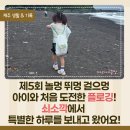 쇠소깍작은정원 | 제5회 놀멍 뛰멍 걸으멍 쇠소깍 플로깅 후기, 아이와 함께한 제주 가족 체험, 플로깅부터 다양한 만들기...