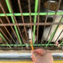 온뷰펜션 이미지