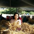 풍기파출소 앞 이미지