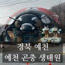 식물생태숲 영상체험관 화장실 | [국내여행/경북예천] 아이와 가볼만한 곳 예천 곤충 생태원 체험관 후기