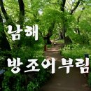 9/3(화)토피아 수목원&방조어부림-섬&산100선 창선도 와룡산(남해)출발06시20분 이미지