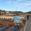 풍류보건진료소 이미지