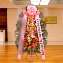 복사문구 이미지