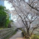 운중천 화장실 네이버블로그