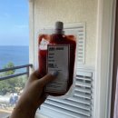 [2020]Travel to Jeolla-do 2020.08.12-08.15, 가족여행 2일차/소노벨 변산,채석강,고창,풍천장어