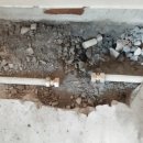 포시즌모텔 이미지