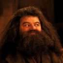 덕수초등학교 이미지