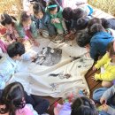 은새유치원 이미지