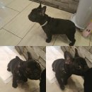 헤라복싱클럽 이미지