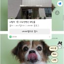 다윤상사 | 9화. 새로운 계절, 새로운 하루