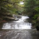 김해 굴암산(屈岩山) 비탈암반폭포와 노거수(老巨樹) 산벚나무 보호 이미지