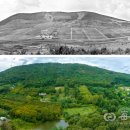 수산나농장 이미지