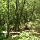 구룡령 옛길 이미지