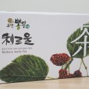 항산화에 좋은 차 뽕을품은 누에 &lt;이로울 뽕잎차&gt;