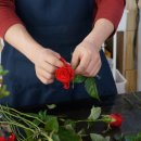 금호농원 이미지