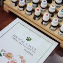 네추럴레매디 이미지