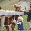 지상농장 | 🐑 뉴질랜드 월터 피크 농장 캠핑 체험 &amp; 퀸스타운 호수 크루즈 후기 및 예약 방법 : 100년 역사의...