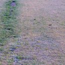 생의 공간 이미지