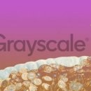 (주)그레이스케일 이미지