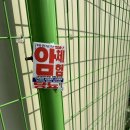 울진여자고등학교 | [68.홍대 방탈출 / 공포 / 피안화 / 꽃밭길생테마] 두쫀쿠 왜 먹음 피안화 연출이 이렇게 쫀득한데...
