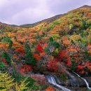 카네기무도장 이미지