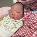 청화약국 | 퇴원 후 조리원 입소까지 • 청화조리원 • 하이에게 입덕 .. 🤍