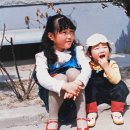 1987;봄