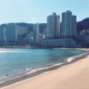 송도해수욕장 이미지