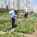 성동농장 이미지