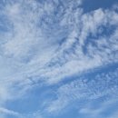 금마버스터미널 이미지