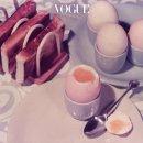 다이어트코리아 이미지