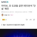 아이브, 日 도쿄돔 공연 9만5천석 '단숨' 매진 이미지