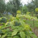 성희농장 이미지