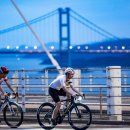 M.S.모산 이미지