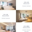 ㈜대아 | [울릉도 계획] Part-2. 숙소 예약하기 / 울릉도 핫플 모두 예약한 꿀팁, 숙소 리스트, 울릉도 숙박...